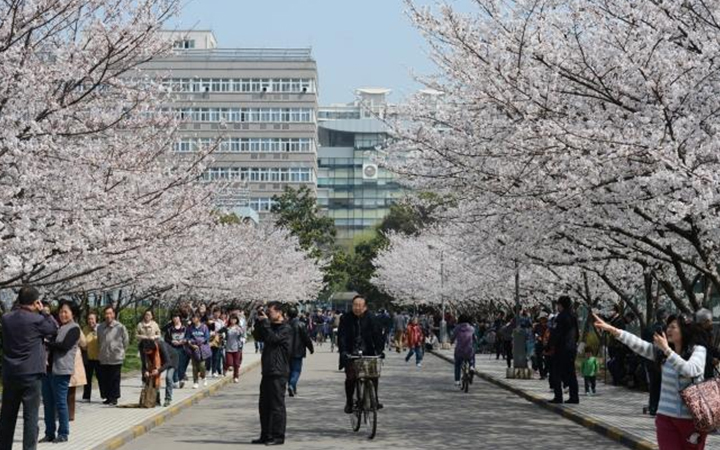 同濟大學