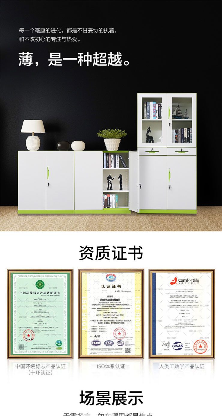 豐龍家具-文件儲(chǔ)物柜系列1_01